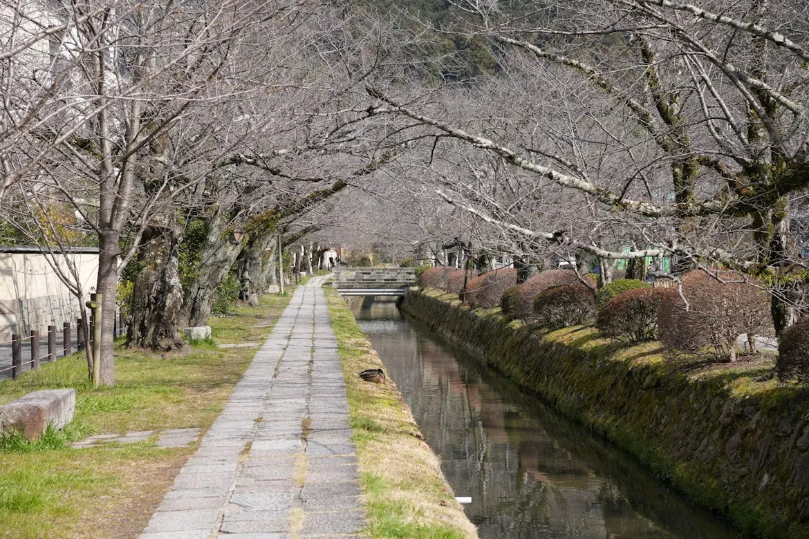 Kyoto Bucket List: 25 Amazing Things to Do (2026)